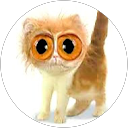 Olaf Diener profile picture